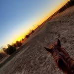 Rowan west - @westrowan060 - Instagram