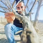 Rowan West - @rowan_west_auct - Instagram