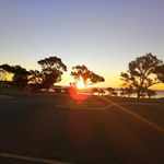 Ron Rowdy Nelson - @rowdylea - Instagram