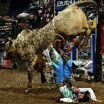 Rowdy Nelson - @rowdynelson - Instagram