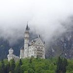 Rowena Buckley - @rowena.buckley.98 - Instagram