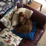 Rowena Clark - @rowenaclark176 - Instagram