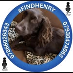 Rowena Farley - @countrycapers - Instagram