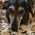 Rowena Harding - @rowena.harding.52 - Instagram