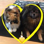 Rowena Jones - @rowena.jones.775 - Instagram