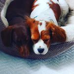 Rowena Jones - @jones.rowena - Instagram