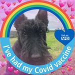 Rowena Jones Hughes - @rowenajoneshughes - Instagram