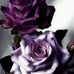 Rowena Reid - Facebook