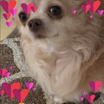Rowena Robinson - @rowie_nalz_rob - Instagram
