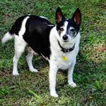Rowena Robinson - @aussie.robin75 - Instagram