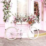 Rowena Sullivan - @rowenasullivan9 - Instagram