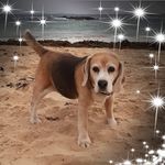 Rowena Thompson - @rowena0013 - Instagram