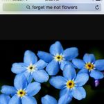 Rowena Thompson - @rthompson356 - Instagram