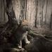 Rowena White - Facebook