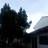 Roxana Arredondo - @roxana.arredondo26 - TikTok