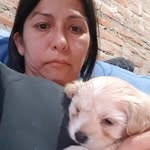 romina roxana claros - @rominaroxanaclaros - Instagram