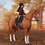 •° 𝑹𝑶𝑿𝑨𝑵𝑨 𝑯𝑨𝑹𝑹𝑰𝑺ꨄ︎ - @_rh_horseteam_ - Instagram