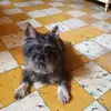 Roxana Marino Diaz - @roxanamarinodiaz - TikTok