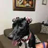 Roxana Pino - @mary_roxy23 - TikTok