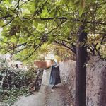 @roxana.sadeghi602019 - Instagram