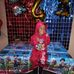 Roxana Salazar - Facebook