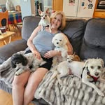Roxane Harris - @weho_wags - Instagram