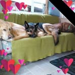 Roxane Harris Rinard - Facebook