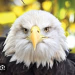 Roxane Miller - @mroxane54 - Instagram