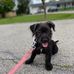 Roxann Brown - Facebook
