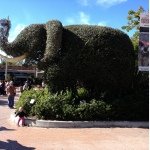 roxann johnson - @roxann3479 - Instagram