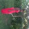 roxannejohnson - @roxannejohnson - TikTok