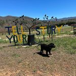 Roxann Christle-Smith - @tellyourstorywithlove - Instagram