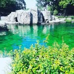 Roxann Thomas - @roxann8687 - Instagram