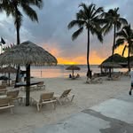 Roxann Wilson Allen - @roxallen1969 - Instagram