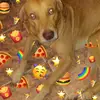 roxanna_martin - @roxanna_martin - TikTok