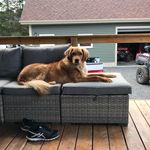 Roxanne Abbott - @roxanne.abbott - Instagram