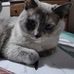 Roxy Armbruster - Facebook