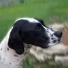 Roxane Baldwin-Runge - @roxane.baldwinrun - TikTok