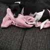 Roxanne Ball-Clark - @roxanne.ballclark - TikTok