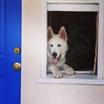 Roxanne Ball Thompson - @rockymom10 - Instagram