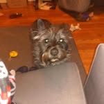 Roxanne Ballard - @roxxi1965 - Instagram