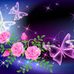 Roxanne Beebe - Facebook