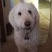 Roxanne Berger - Facebook