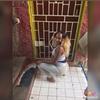 Roxanne Black - @roxanneblack0 - TikTok