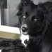 Roxanne Blackwell - Facebook