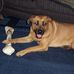 Roxie Boswell - Facebook