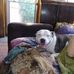 Roxanne Burt - Facebook