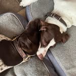 Roxanne Burton - @roxanneburton8 - Instagram