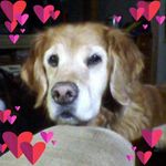 Roxanne Cameron - @neverforget91101 - Instagram