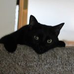 Roxanne Case - @rockergurl2 - Instagram